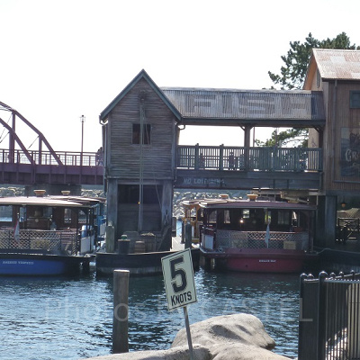 トランジットスチーマーラインとは