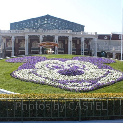 パークデビューは何歳がベスト？