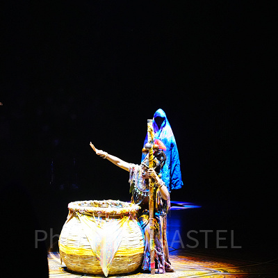 香港ディズニー「フェスティバル・オブ・ザ・ライオンキング」ショーとは？