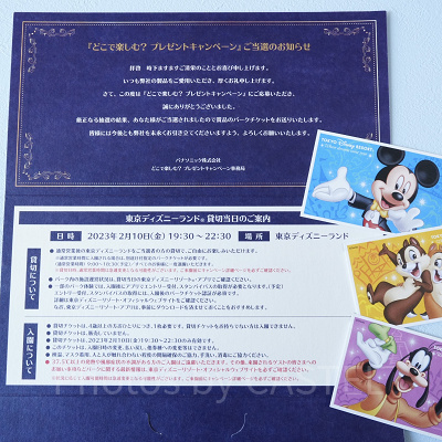 ディズニーを貸切にできるプログラムとは？