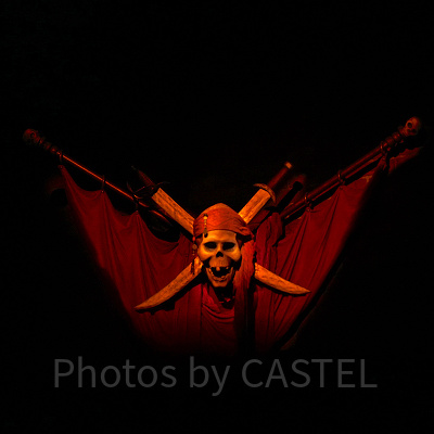 長期休止の理由は？