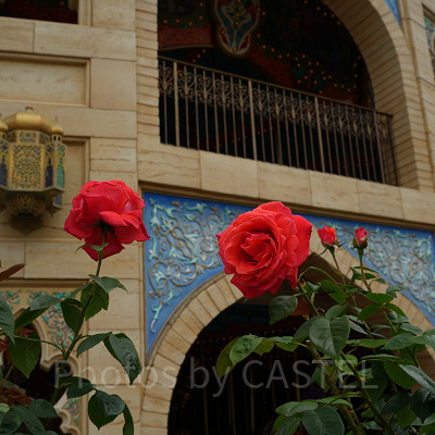 キャラバンカルーセルに隠されたストーリーとは