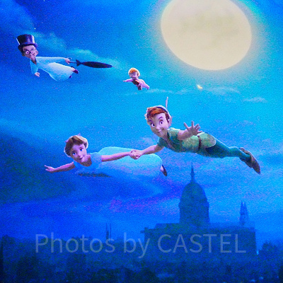 そもそもネバーランドってどんなところ？