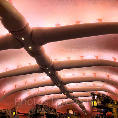 スリーピーホエール・ショップはどんなお店？