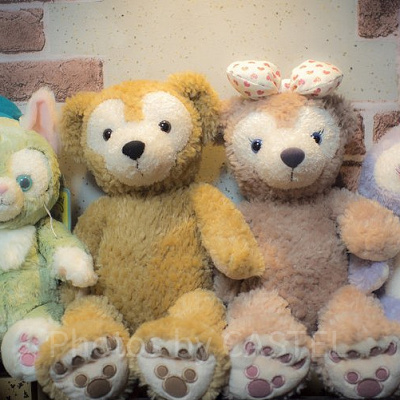 ディズニーシーの食事、何にする？