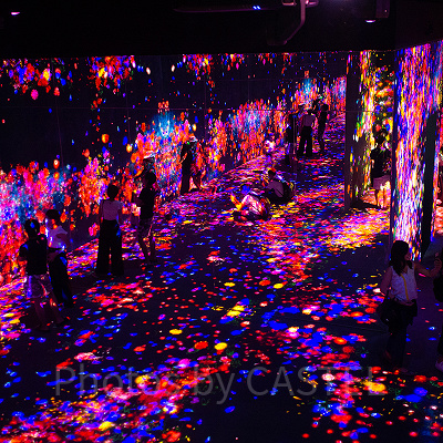 チームラボお台場の移転後の展示内容は？