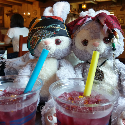 ディズニーシーでお酒が購入できるスポットは？