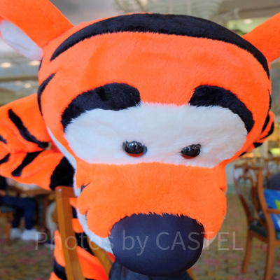 ティガーに会える場所