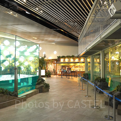 ホワイトタイガー展示エリア（写真右手の2階構造の建物）