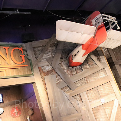 ワイルドウィング