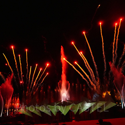 ウイングスオブタイム：花火