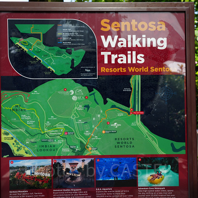 ウイングスオブタイム：セントーサ島のトレイルルート