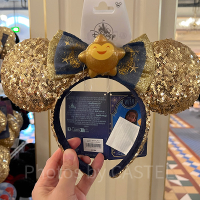 ウィッシュカチューシャ（パリディズニー）