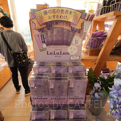 藤のルルルン（1,650円）