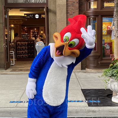 ウッディ・ウッドペッカー キャステル CASTEL ディズニー情報