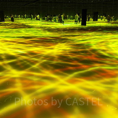 チームラボプラネッツ豊洲の作品