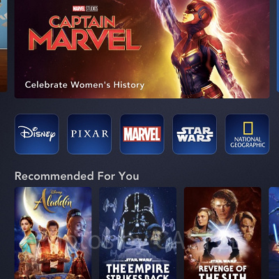 ディズニープラスの作品