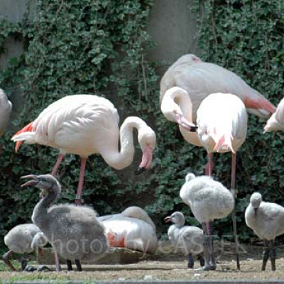 多摩動物公園は、飲食物の持ち込みができる