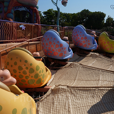 どのヤドカリにするか自分で選べますよ