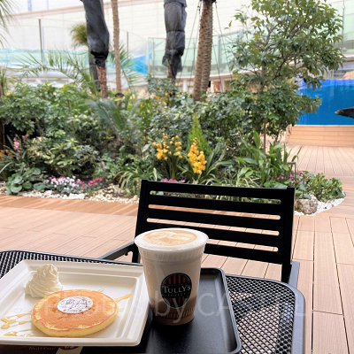 テラス席からはアシカの水槽が見えます