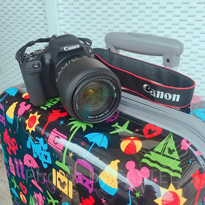 ディズニーにスーツケースは持ち込めない！