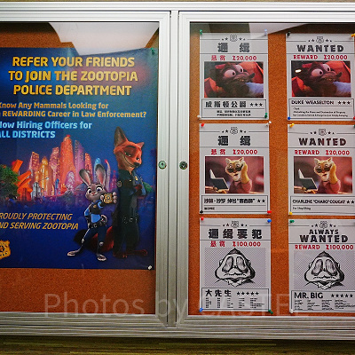 ズートピア：ホットパースートのQライン（待ち列）