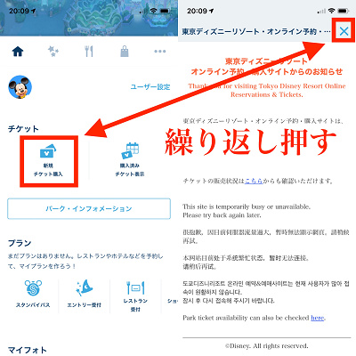 ディズニーチケットの種類 キャステル Castel ディズニー情報