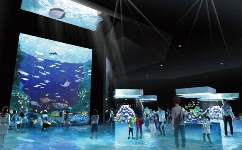 神戸・須磨海浜水族園のリニューアル情報まとめ！再開後はシャチが