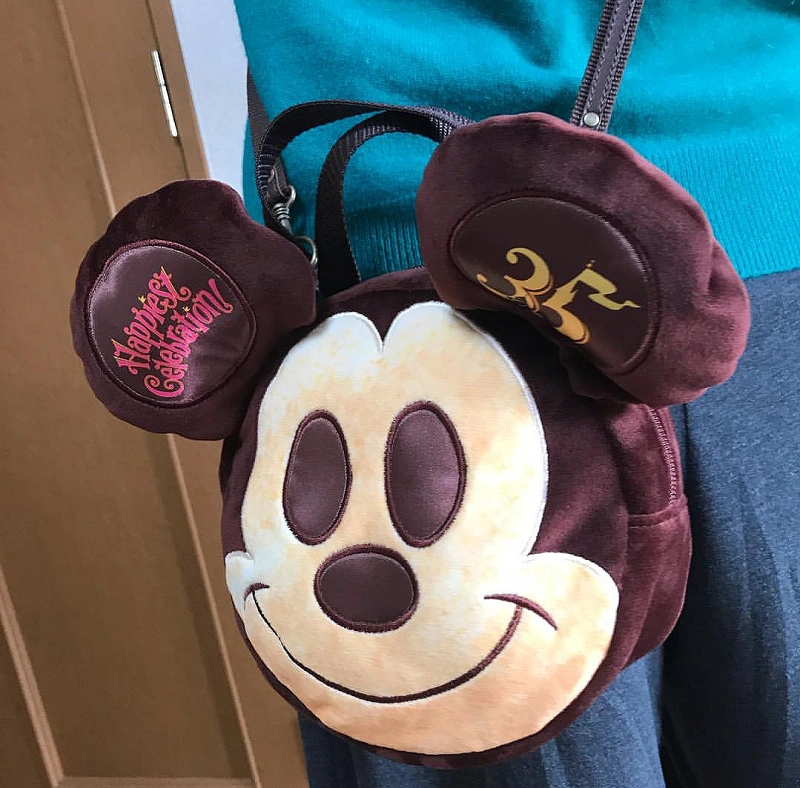 ディズニーホテル ぬいぐるみ 専用袋付き ディズニーホテル