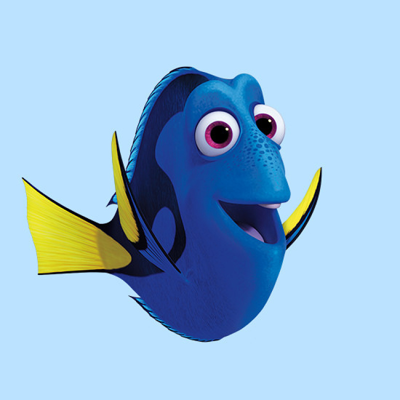 必見】ファインディング・ニモのドリー！性格や魚の種類は？パークの