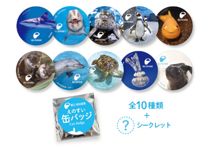 人気】新江ノ島水族館のおすすめお土産13選！お菓子・ストラップ