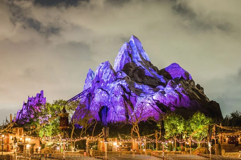 WDW「アニマルキングダム」完結編。おすすめアトラクションとショー