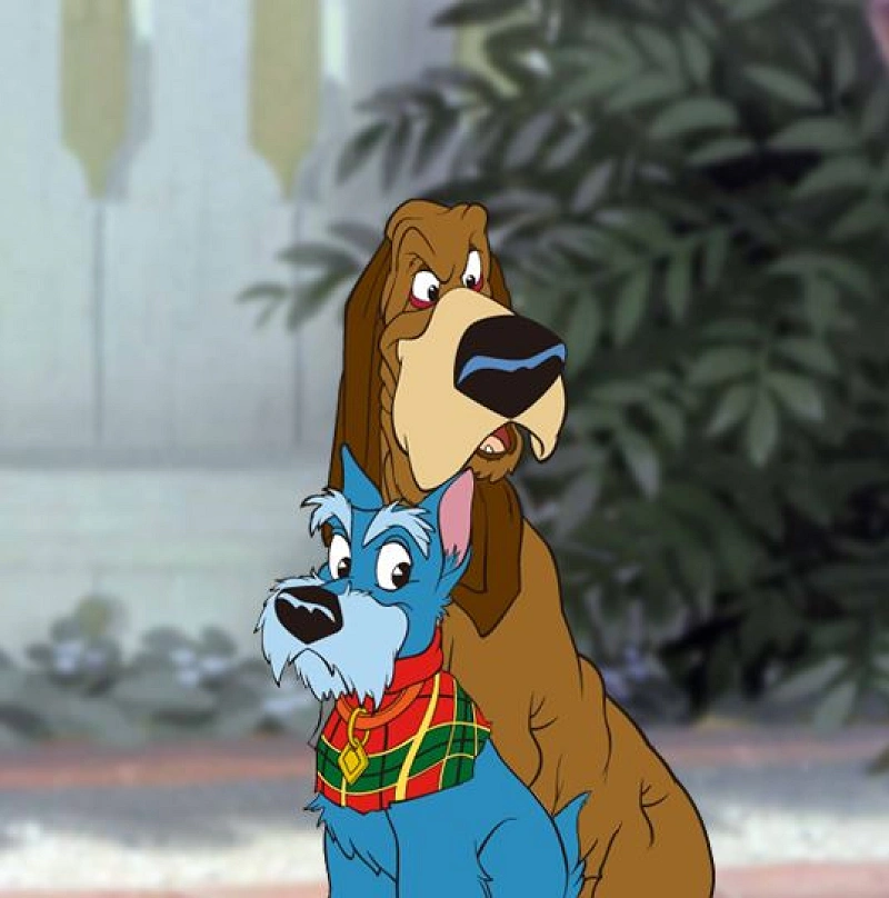 jack-and-trusty-j76201.webp