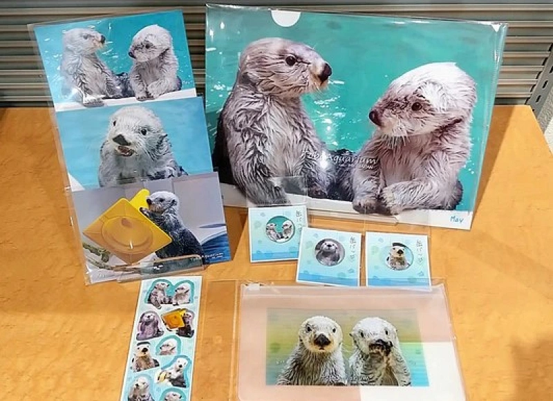 2023】鳥羽水族館のお土産12種厳選まとめ！ラッコやジュゴンも