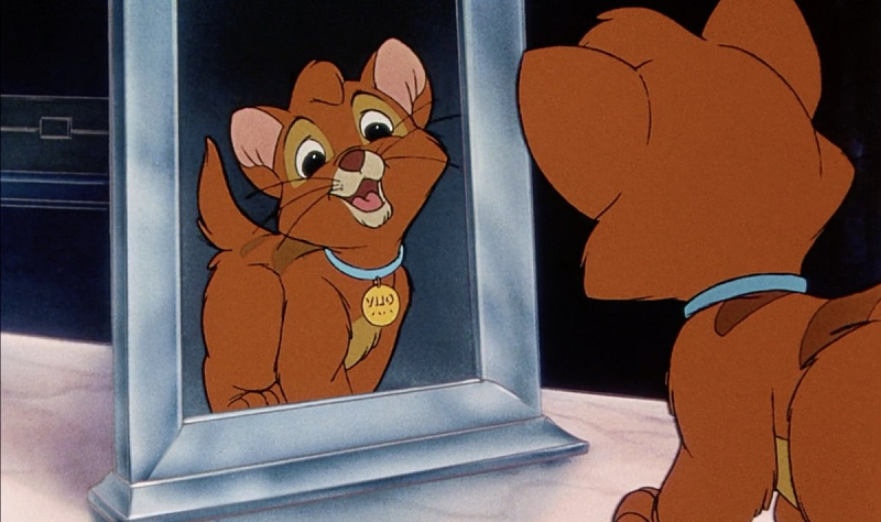 Disney - Disney創立100周年 映画『ｵﾘﾊﾞｰ／ﾆｭｰﾖｰｸ子猫ものがたり』2体 オリバーニューヨーク子猫ものがたり Disneyの通販 by ☆いちご