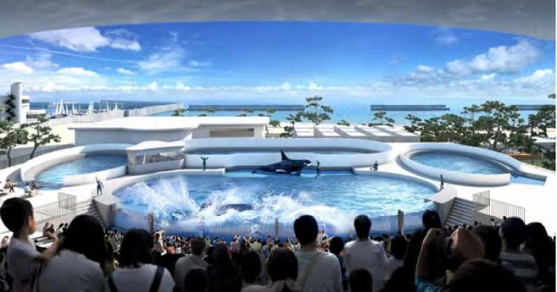 神戸・須磨海浜水族園のリニューアル情報まとめ！再開後はシャチが