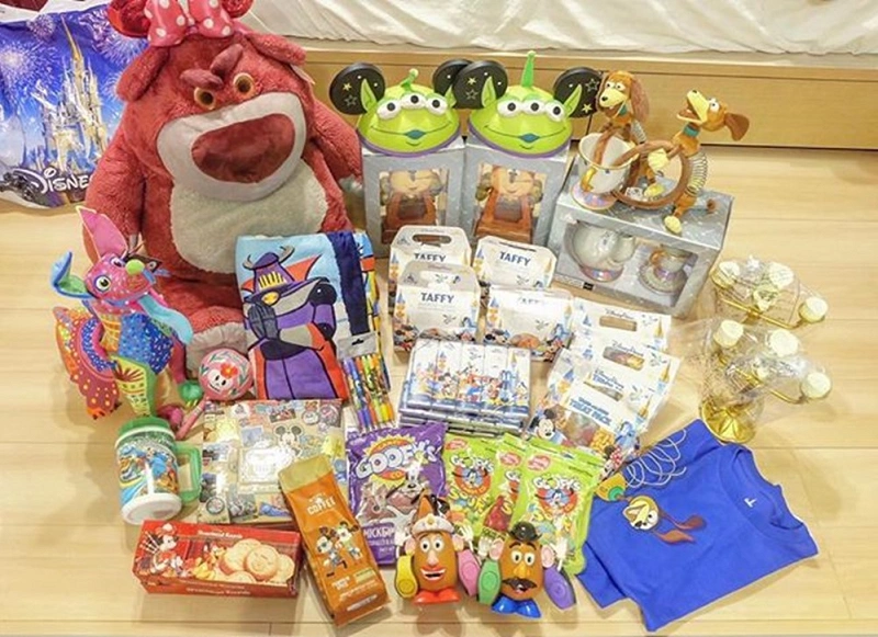 フロリダ ディズニーリゾート 限定 ミッキーマウス 霜降り フーディー パーカー