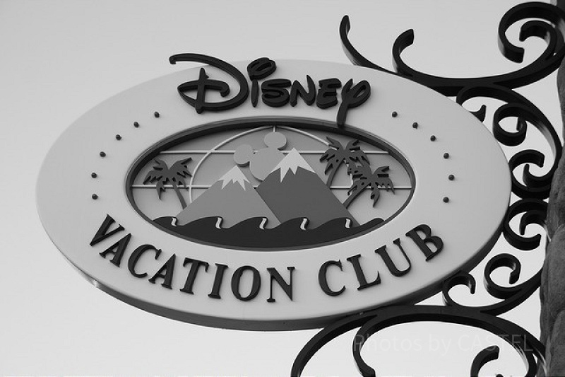 【DVC】ディズニー･バケーション･クラブはお得？価格や年会費、特典をもとに検証