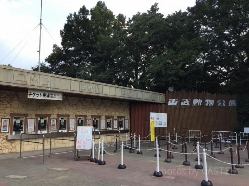 【東武動物公園】車で行くなら西ゲート！駐車場・動物園・プールへの行き方＆ポイント