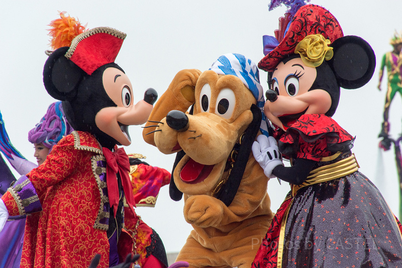 【ディズニー】人気の犬キャラ「プルート」徹底解説！グッズ・誕生日・会える場所はどこ？