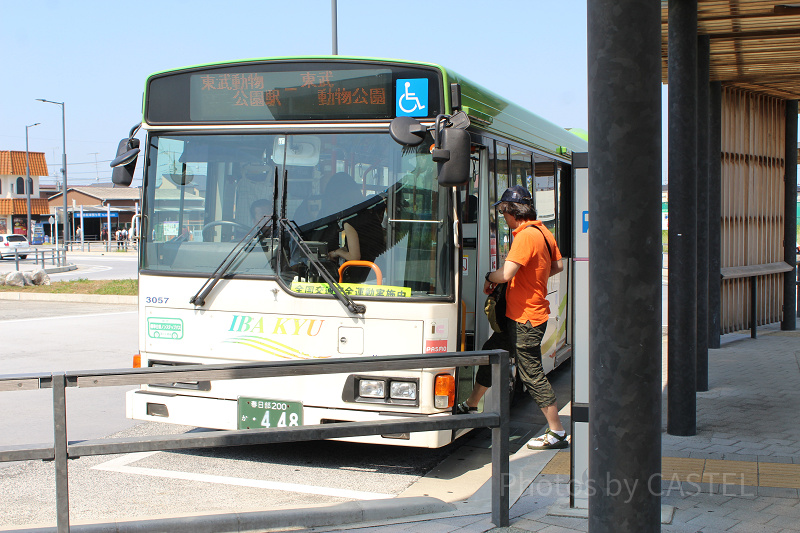 【東武動物公園】アクセス方法まとめ！電車・車・バス・徒歩の所要時間と料金