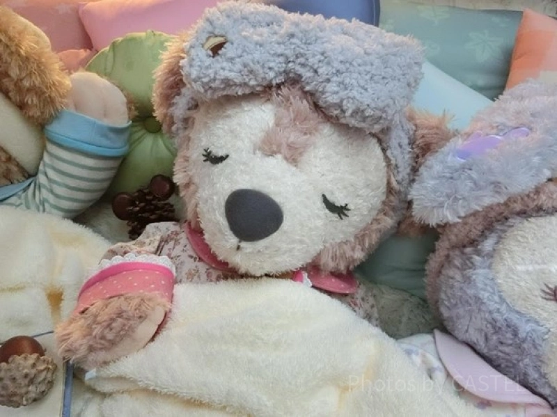 シェリーメイ】プロフィール＆グッズまとめ！ミニーからプレゼントされ