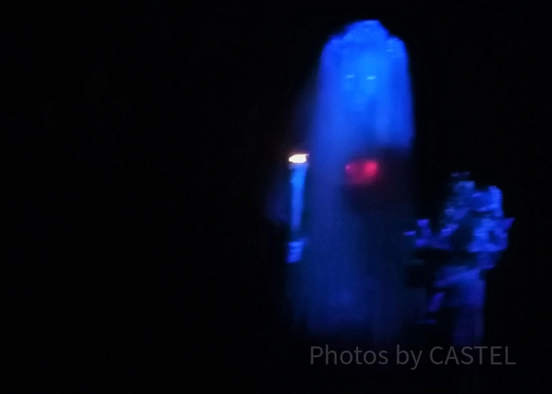 ホーンテッドマンションの花嫁はどこにいる？死因は？ゾッとする裏話まとめ