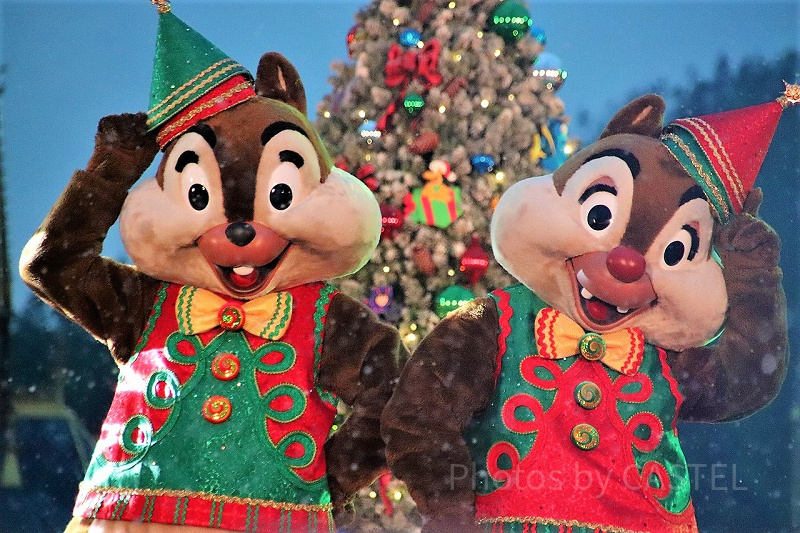 ディズニー ピンバッジ ランド シー ミッキー ミニー チップとデール ドナルド Disney - ☆スイスイサマー ディズニー ミッキー チップとデール