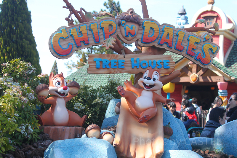 チップとデールのツリーハウス】トリビアや待ち時間情報まとめ