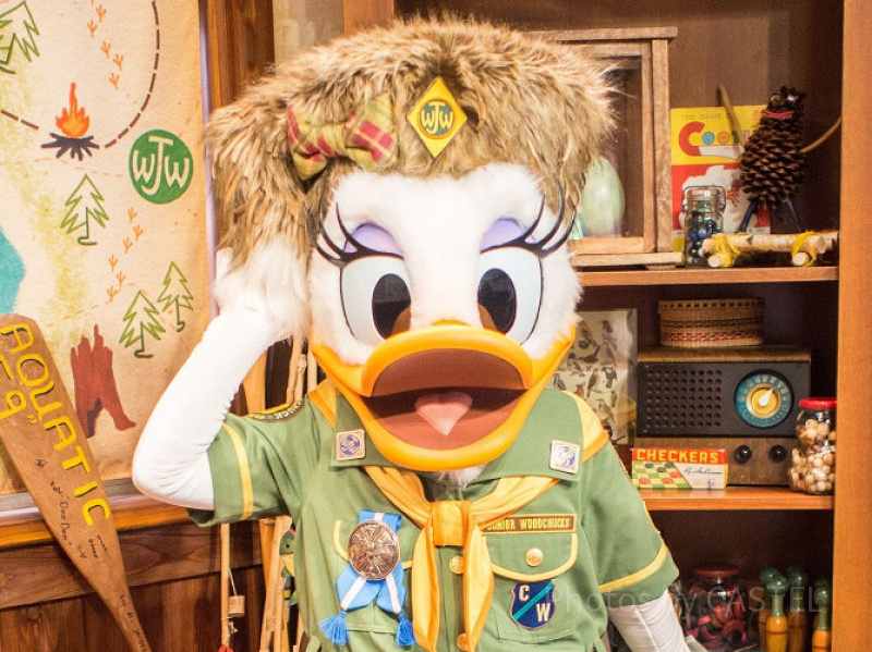 【必見】デイジー徹底解説！ディズニーで会える場所・声・プロフィール！コスプレ・服に注目！