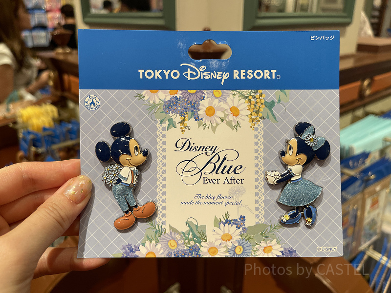 【レア】　ディズニーランドリゾート　ピンバッジ　年パス所有者限定 レア】 ディズニーランドリゾート ピンバッジ 年パス所有者限定 【公式
