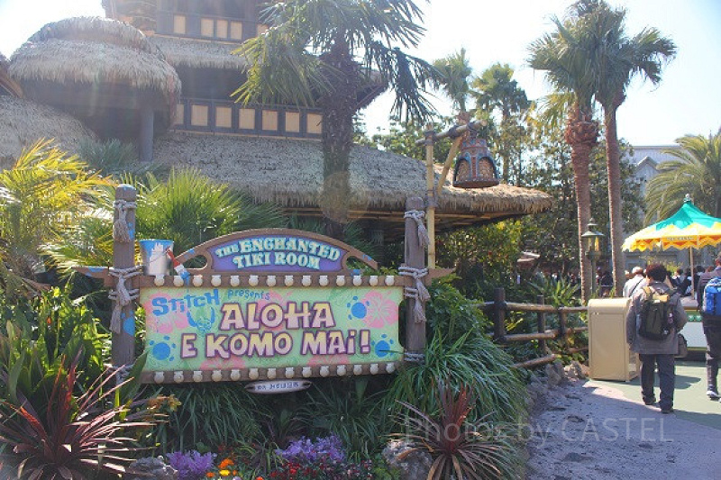 待ち時間情報も】魅惑のチキルームアロハ・エ・コモ・マイの概要