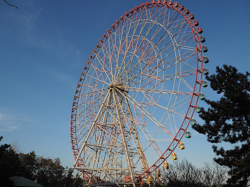 葛西臨海公園の観覧車| キャステル | CASTEL ディズニー情報
