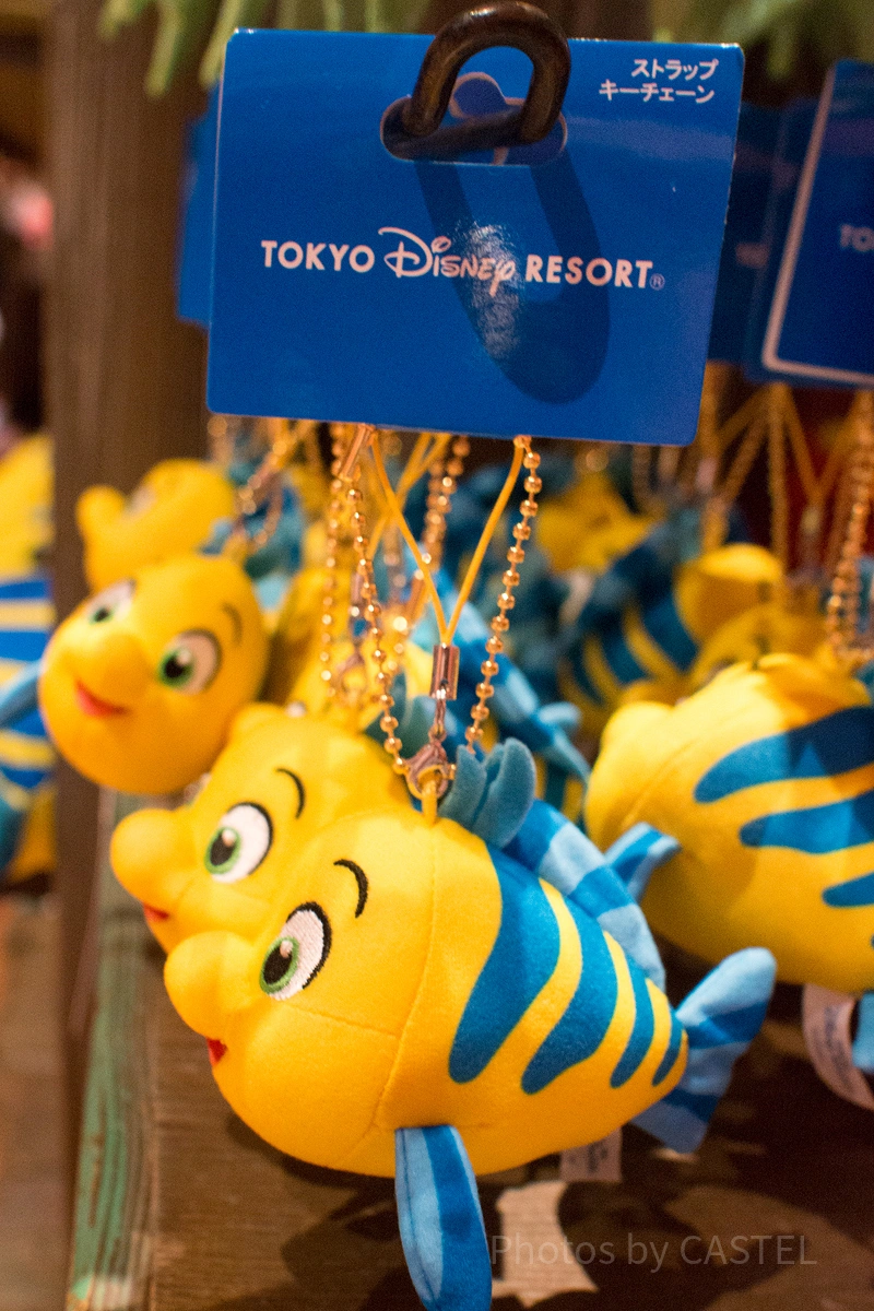 リトル・マーメイドのフランダー！魚の種類やアリエルとの関係は？